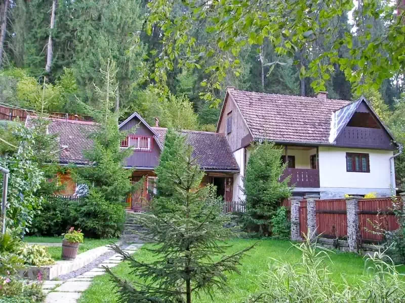 Băile Homorod - Casa de vacanță Benedek|Homoródfürdő - Benedek Kulcsosház Homoródfürdő 548333 thumb