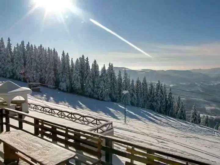 Petroșani - Vila Parâng|Petrozsény - Parâng Villa Petrozsény 617915 thumb