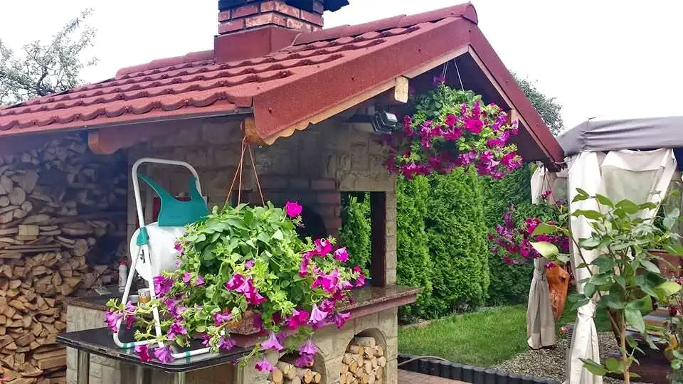 Târgu Ocna - Casa de vacanță Catelusei Napoca****|Aknavásár - Catelusei Napoca Kulcsosház**** Aknavásár 632246 thumb
