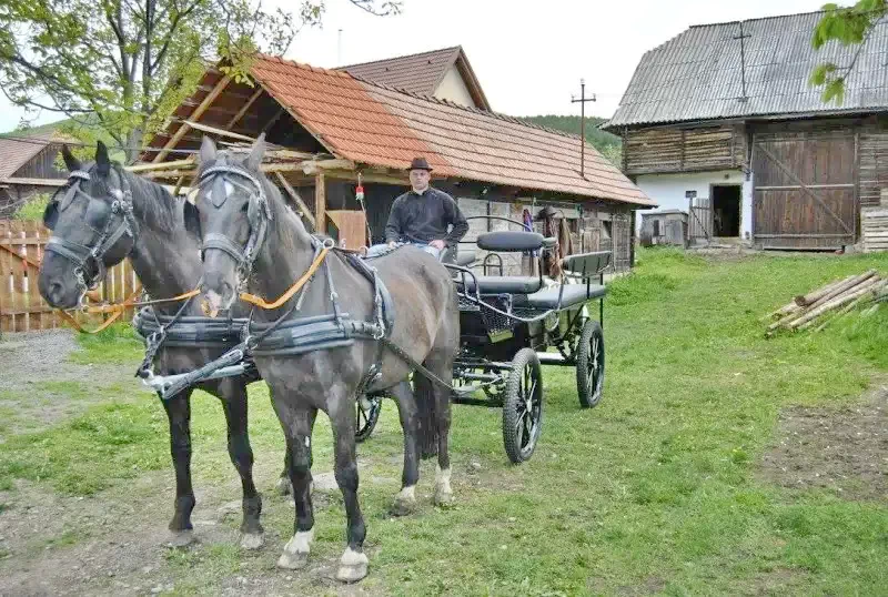 Estelnic - Pensiunea Réba**|Esztelnek - Réba Panzió** Esztelnek 639201 thumb