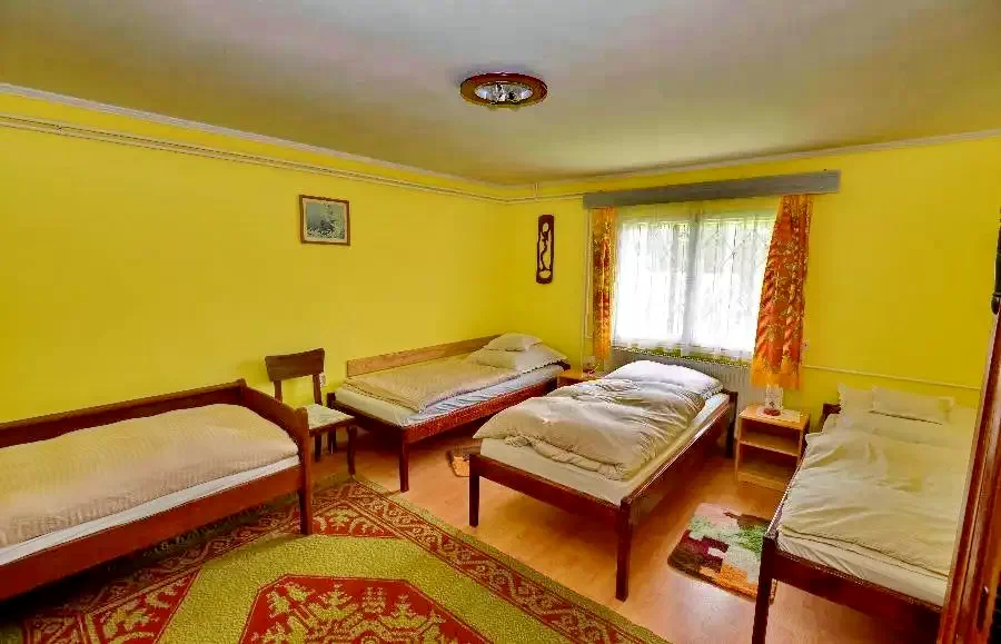 Parau Satu Mare - Casa de Vacanta Berci Pârâu Satu Mare 513297 thumb