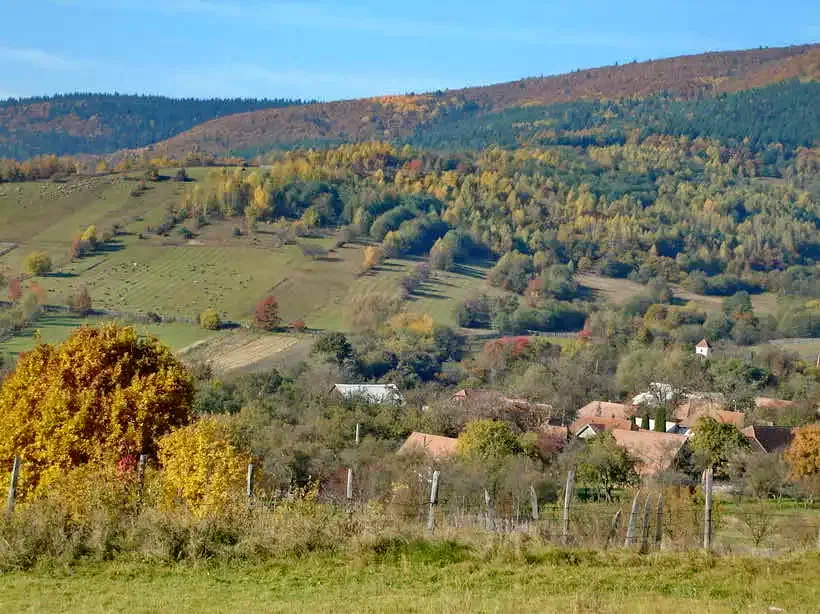 Valea Scurta - Pensiune Hanna Valea Scurtă 570092 thumb