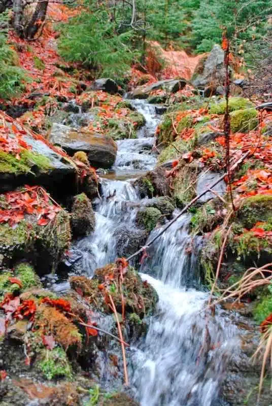 Gilău - Cabana Tarnița|Gyalu - Tarnița Kulcsosház Gyalu 545152 thumb