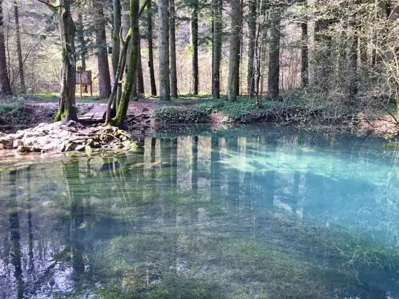 Sasca Română - Pensiunea Cheile Nerei***|Oláhszászka - Cheile Nerei Panzió*** Szászka 639920 thumb