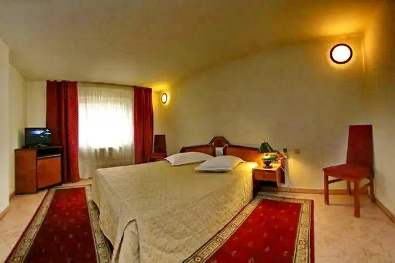 Timișoara - Hotel Euro***|Temesvár - Euro Hotel*** Temesvár 254025 thumb