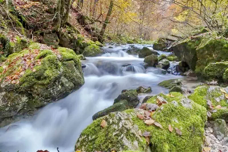 Valea Boghii - Pensiune Apuseni***|Boga Völgye - Apuseni Panzió*** Cascadele Oșelu si Bulbuci 623603 thumb