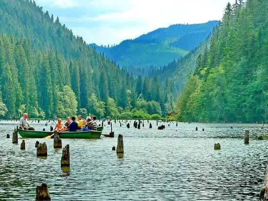Lacu Roșu - Casuțele Suhardul Mic|Gyilkos-tó - Kiscohárd Faházak Gyilkostó 608556 thumb