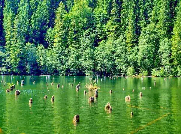 Lacu Roșu - Casuțele Suhardul Mic|Gyilkos-tó - Kiscohárd Faházak Gyilkostó 608555 thumb