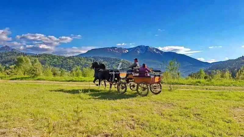 Borșa - Casa de vacanță Daiana** | Borsafüred - Daiana Vendégház** Borsa 434621 thumb