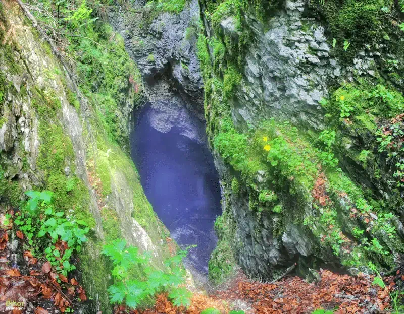 Valea Boghii - Cabane Cristal Boga|Boga-völgye - Cristal Faházak Cascadele Oșelu si Bulbuci 601021 thumb
