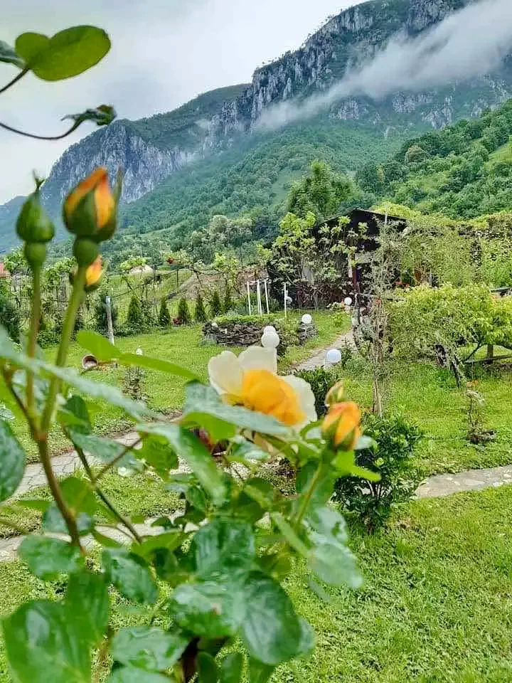 Băile Herculane - Pensiune Roua de Munte*** |Herkulesfürdő - Roua de Munte Panzió***  Herkulesfürdő 629605 thumb