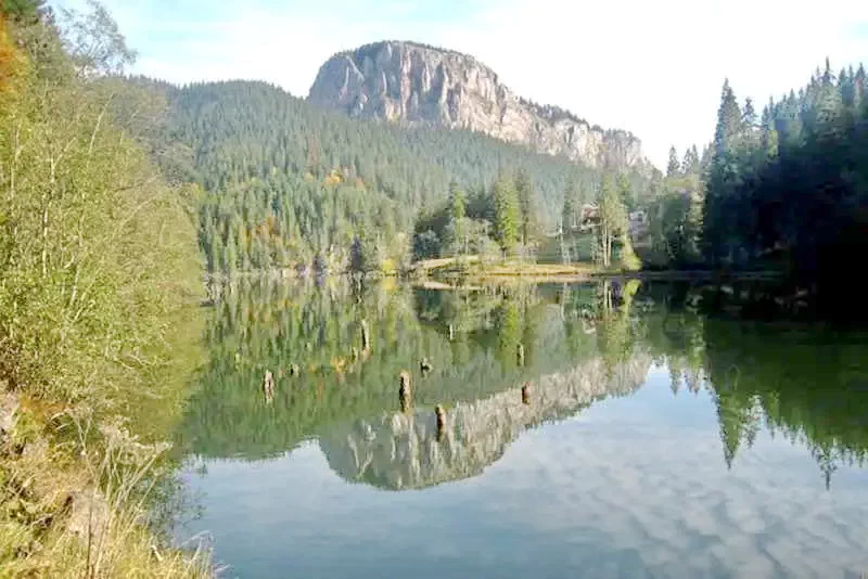 Lacu Roșu - Casuțele Turist*|Gyilkostó - Turista Faházak* Gyilkostó 454111 thumb