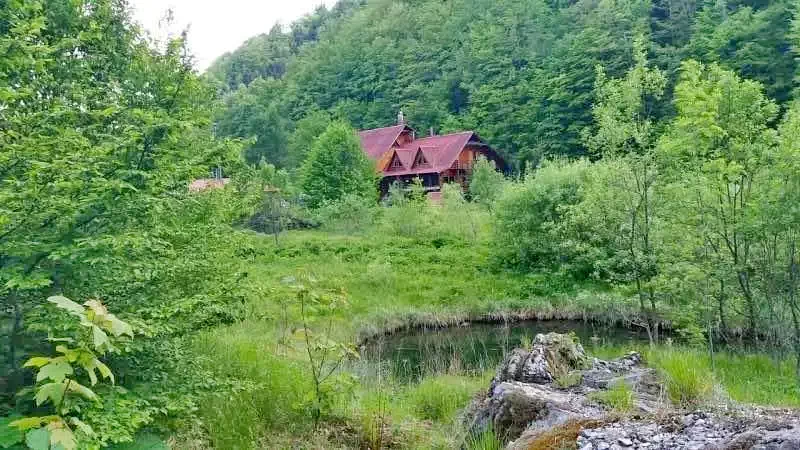 Stana de Vale - Valea Iadului - Pensiune Rustic House - Cabana 2 Stâna de Vale 549559 thumb