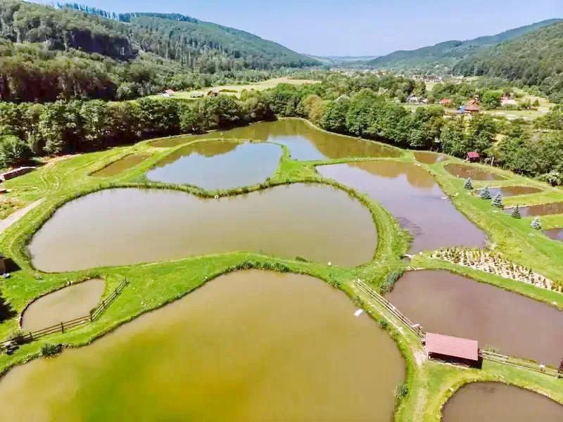 Campul Cetatii Eremitu - Vila Nostalgia|Vármező Nyárádremete - Nosztalgia Villa Vármező 407347 thumb