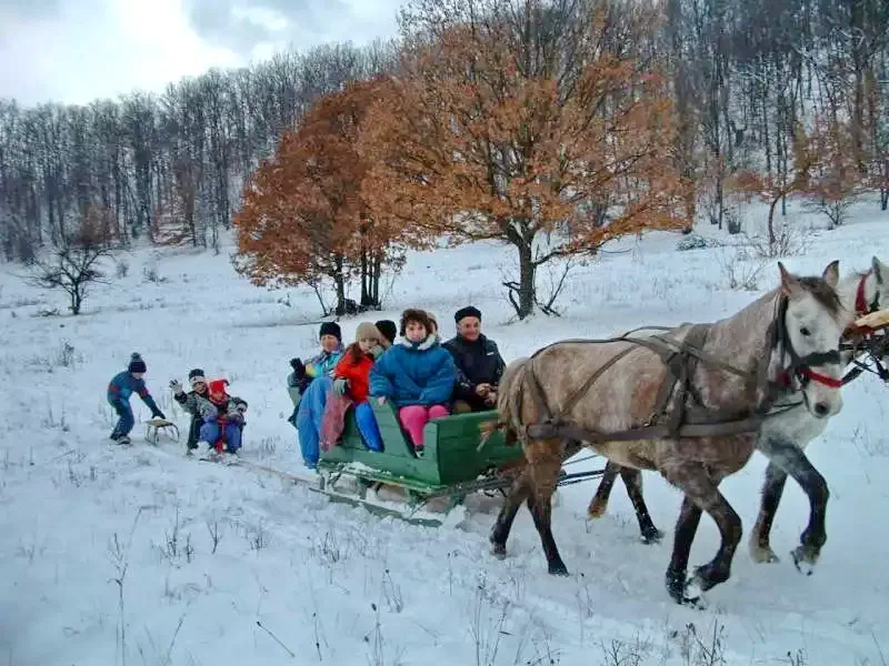 Baraj Zetea - Casa de Vacanta Nagy Lak I Barajul Zetea 541574 thumb