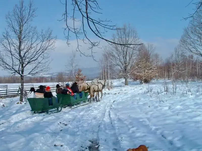 Baraj Zetea - Casa de Vacanta Nagy Lak I Barajul Zetea 541573 thumb