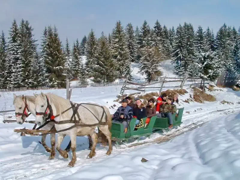 Baraj Zetea - Casa de Vacanta Nagy Lak I Barajul Zetea 541575 thumb