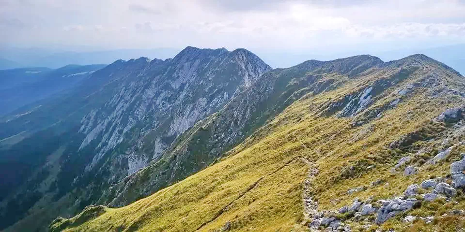 Zarnesti - Pensiunea Mosorel|Zarnesti - Mosorel Panzió Zernest 581387 thumb