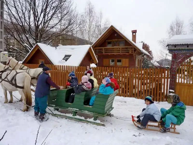 Baraj Zetea - Casa de Vacanta Nagy Lak II Barajul Zetea 540341 thumb