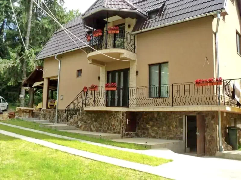 Scărișoara - Cabana Suvenirurilor*** | Aranyosfő - Suvenir Panzió*** Aranyosfő 553011 thumb