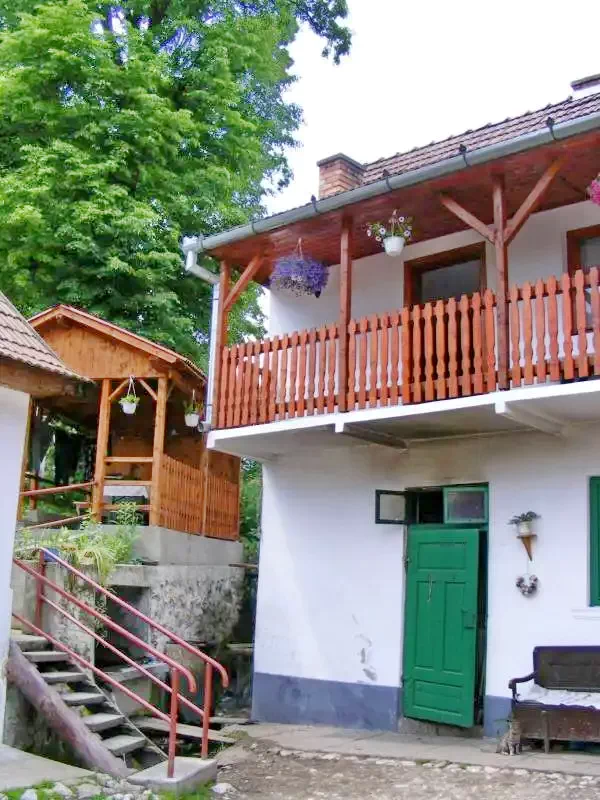 Rimetea - Casa de vacanță Pálinkás|Torockó - Pálinkás Vendégház Torockó 619101 thumb
