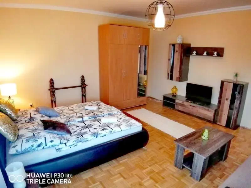 Hajdúszoboszló - Zöld Béka Hőforrás Apartman Hajdúszoboszló 332445 thumb