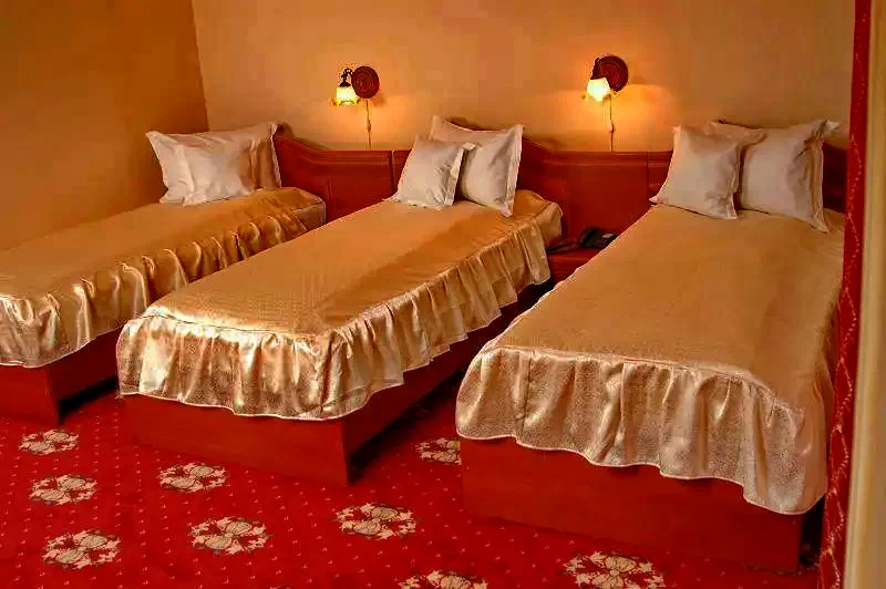 Szatmárnémeti - Coral Hotel*** | Satu Mare - Hotel Coral *** Szatmárnémeti 577843 thumb