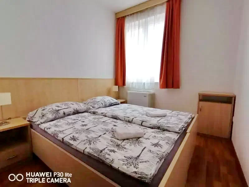 Hajdúszoboszló - Zöld Béka Wellness Apartmanok I.-II. Hajdúszoboszló 334115 thumb