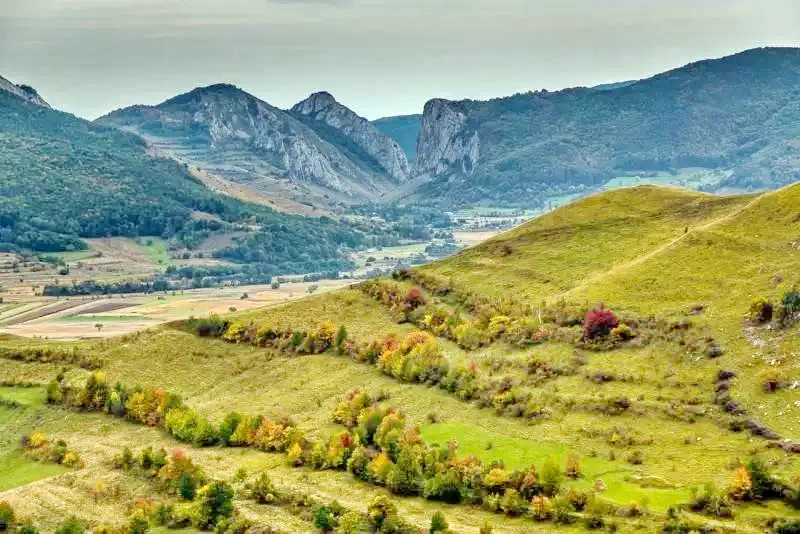 Pensiune Ara Alba Iulia 628909 thumb