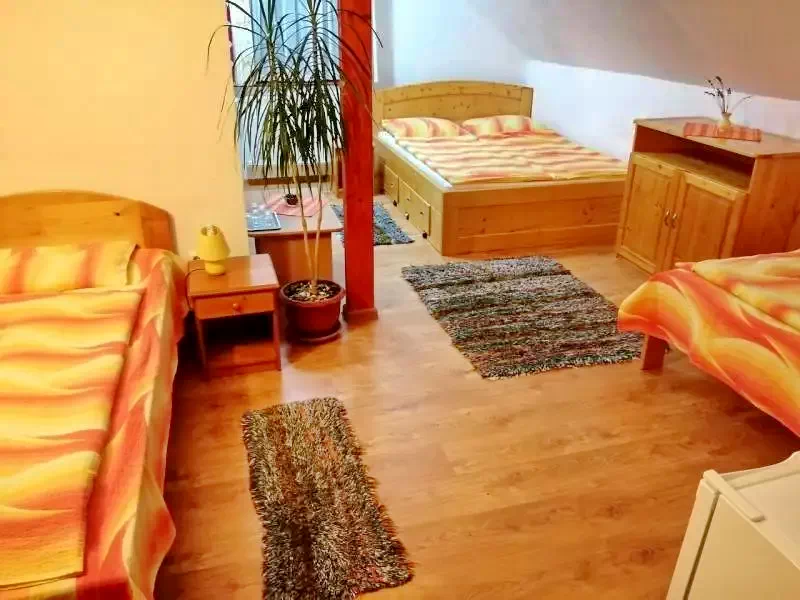 Harghita bai - Casa de Vacanta Vass | Hargitafürdő - Vass Kulcsosház Hargitafürdő 462174 thumb