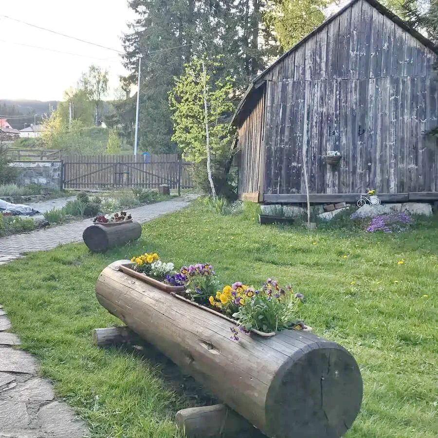 Harghita-Băi - Pensiunea Tofalvi*** | Hargitafürdő - Tófalvi Panzió*** Hargitafürdő 583225 thumb