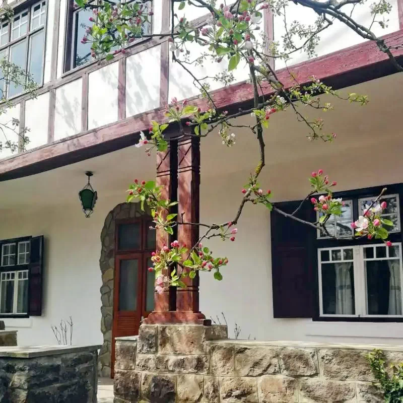 Malnaş-Băi - Casa Eltes** | Málnásfürdő - Éltes Ház** Málnásfürdő 426492 thumb