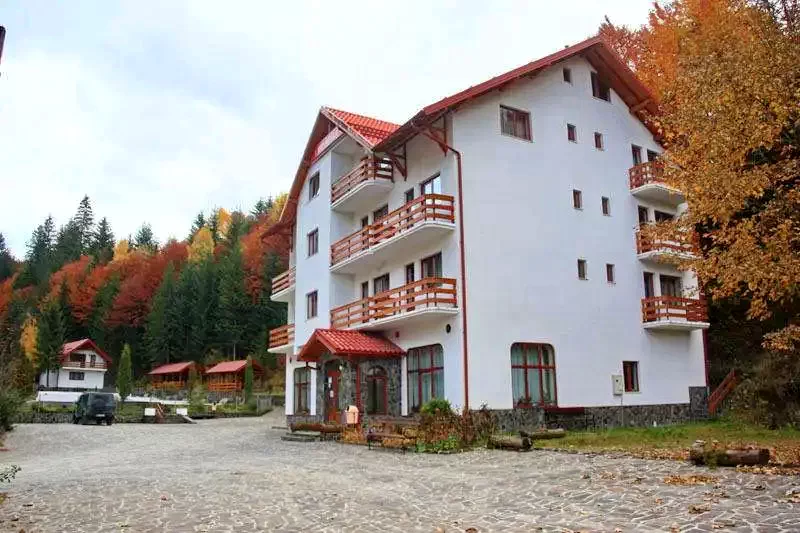 Borsa - Hotel Păltiniș***|Borsafüred - Păltiniș Hotel***  Borsa 440411 thumb