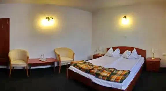 Borsa - Hotel Păltiniș***|Borsafüred - Păltiniș Hotel***  Borsa 440427 thumb