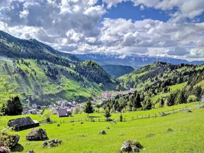 Moeciu de Sus - Pensiunea Roua Muntelui*** | Felsőmoécs - Roua Muntelui Panzió*** Felsőmoécs 458676 thumb