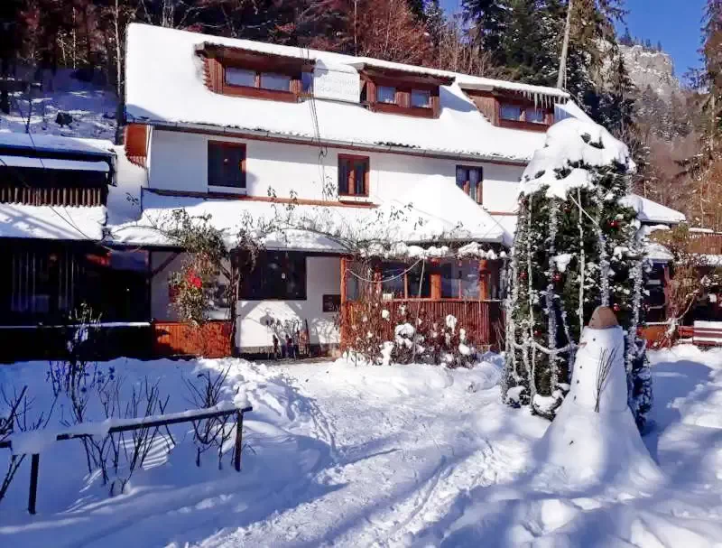 Băile Tușnad - Vila Șoimul | Tusnádfürdő - Sólyom Villa Tusnádfürdő 528397 thumb