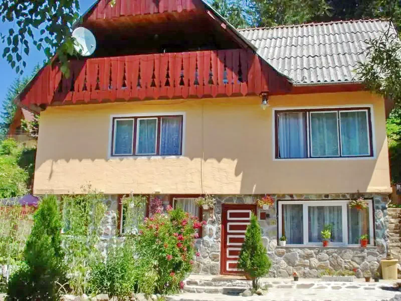 Băile Homorod - Casa de vacanță Jére-lak|Homoródfürdő - Jére-lak Homoródfürdő 563652 thumb