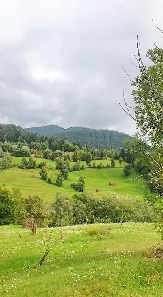 Rodna Veche -  Pensiunea Agroturistică Amalia | Óradna - Amália Vendégház Panzió Óradna 552730 thumb