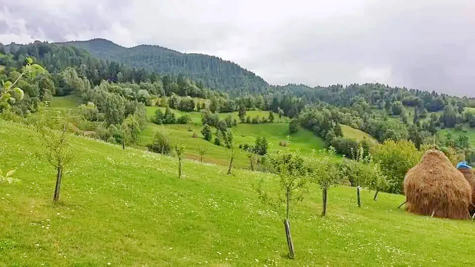 Rodna Veche -  Pensiunea Agroturistică Amalia | Óradna - Amália Vendégház Panzió Óradna 552731 thumb