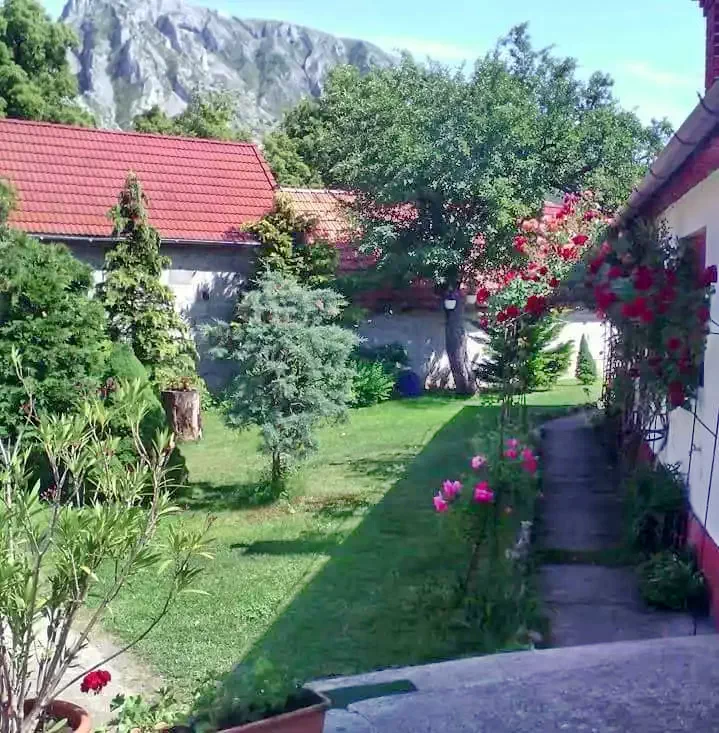 Rimetea - Casa de vacanță Faluvégi**|Torockó - Faluvégi Vendégház** Torockó 607714 thumb