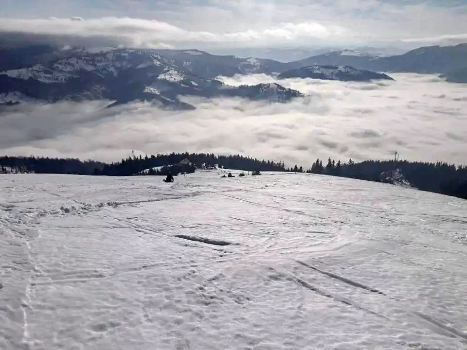 Valea Vinului - Cabana Bradul | Radnaborberek - Bradul Vendégház Radnaborberek 580279 thumb