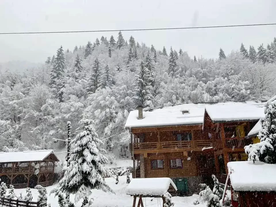 Valea Vinului - Cabana Bradul | Radnaborberek - Bradul Vendégház Radnaborberek 580273 thumb