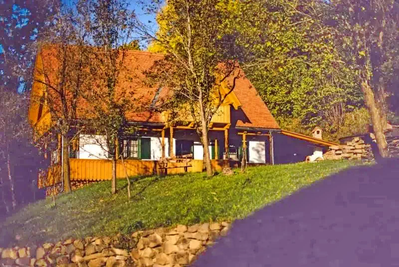 Siclod - Casa de Oaspet Siklód Șiclod 607708 thumb