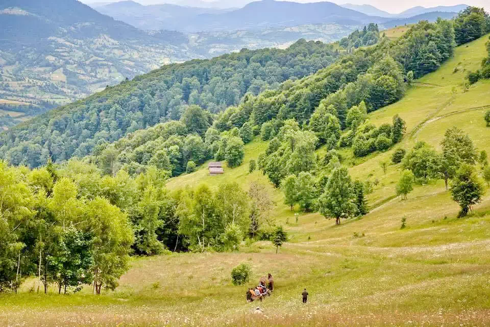 Valea Vinului - Cabana Bradul | Radnaborberek - Bradul Vendégház Radnaborberek 580276 thumb