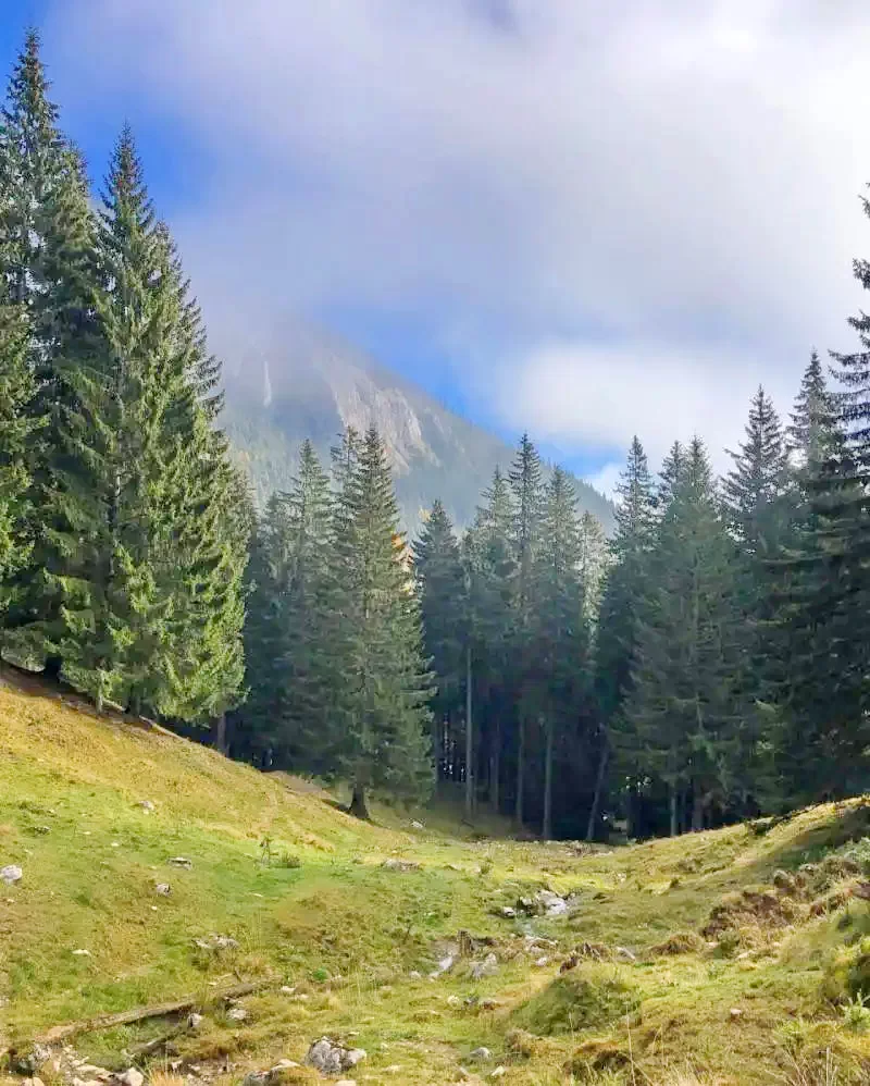 Lunca de Jos - Pensiunea Gyimesi Skanzen** |Gyimesközéplok - Gyimesi Skanzen Panzió** Gyimesközéplok 505027 thumb