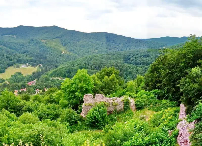 Turia - Pensiunea Lacrimioara** | Torja - Gyöngyvirág Panzió**  Torja 511068 thumb