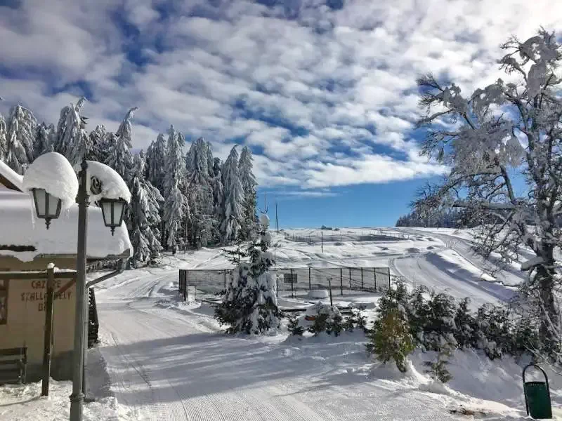 Sovata - Casa de Vacanta Balint | Szováta – Bálint Vakációs Ház Szováta 556380 thumb