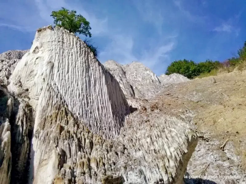 Praid Pensiunea Engi Nándor | Parajd - Engi Nándor Panzió  Parajd 626339 thumb