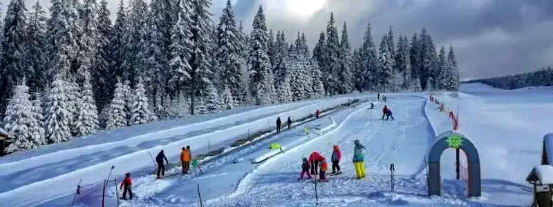 Praid Pensiunea Engi Nándor | Parajd - Engi Nándor Panzió  Parajd 626340 thumb