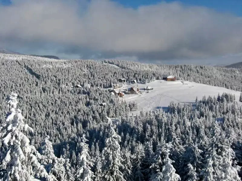 Harghita Mădăraș - Cabana Natura** | Madarasi Hargita - Natura Kulcsosház** Madarasi Hargita 536418 thumb